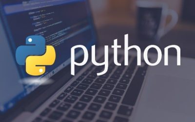 Python: Perché è il Linguaggio di Programmazione in Più Rapida Crescita (e Cosa Significa per il Tuo Business)