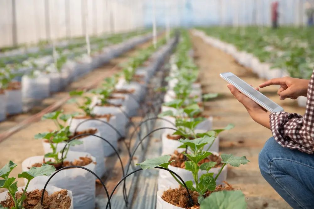 Agricoltura di Precisione e Smart Agriculture: La Guida alla Digitalizzazione Agricola